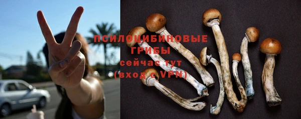 мяу мяу мука Новокубанск