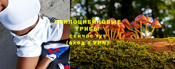 не бодяженный Новозыбков