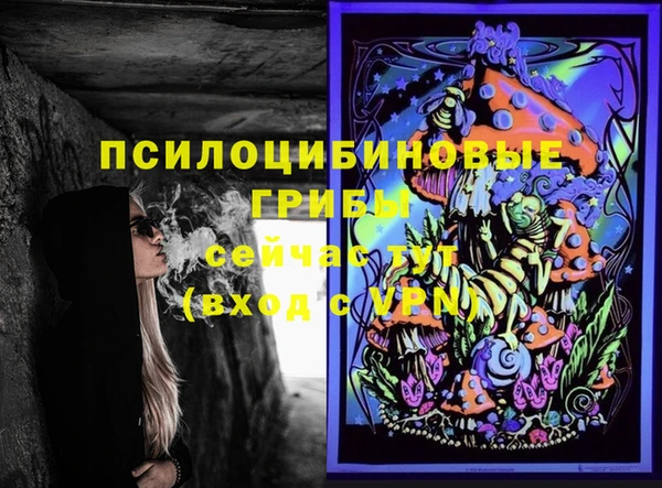 МДПВ Новодвинск
