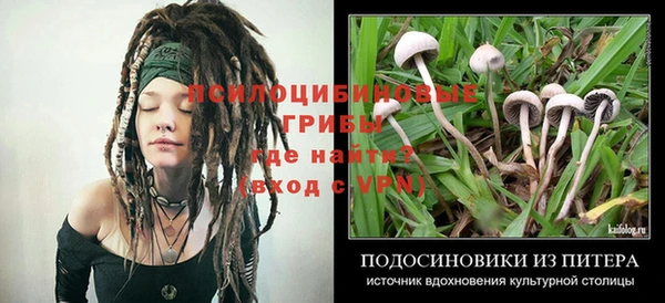 МДПВ Новодвинск
