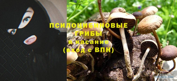 не бодяженный Новозыбков