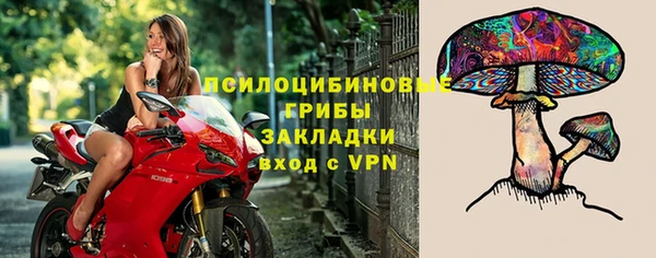 не бодяженный Новозыбков