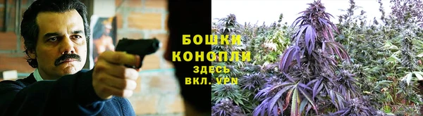МДПВ Новодвинск